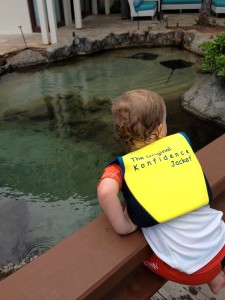 JJ looking at the Stingrays